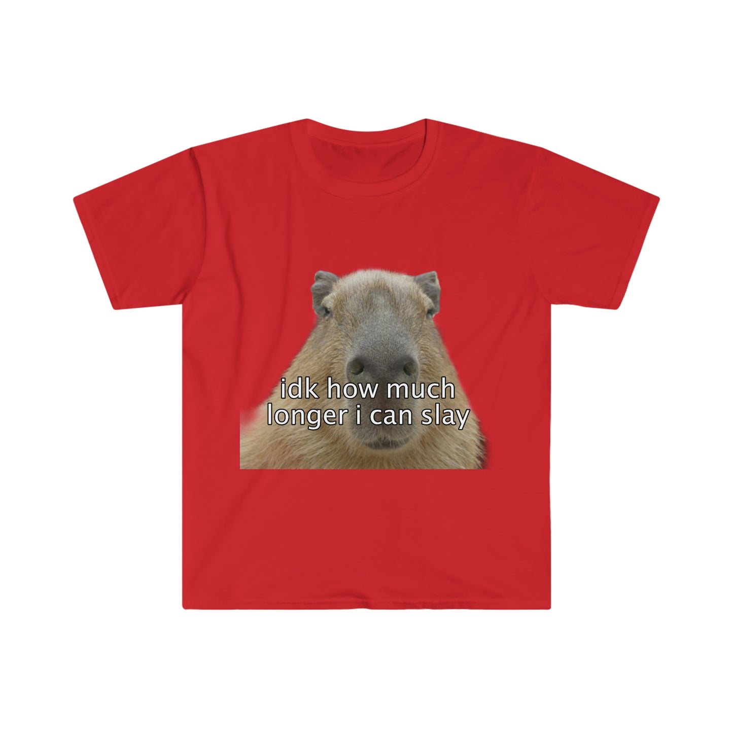 Capybara "idk how much longer i can slay" Funny Meme T Shirt