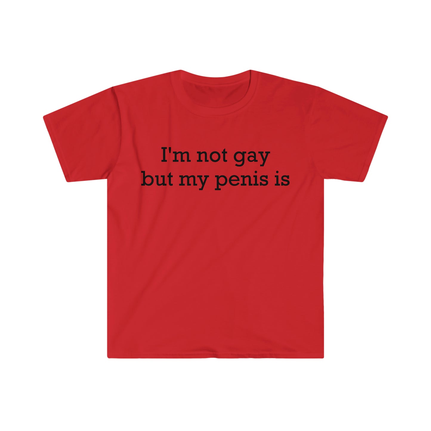 I'm not gay but my penis is Funny Meme T Shirt