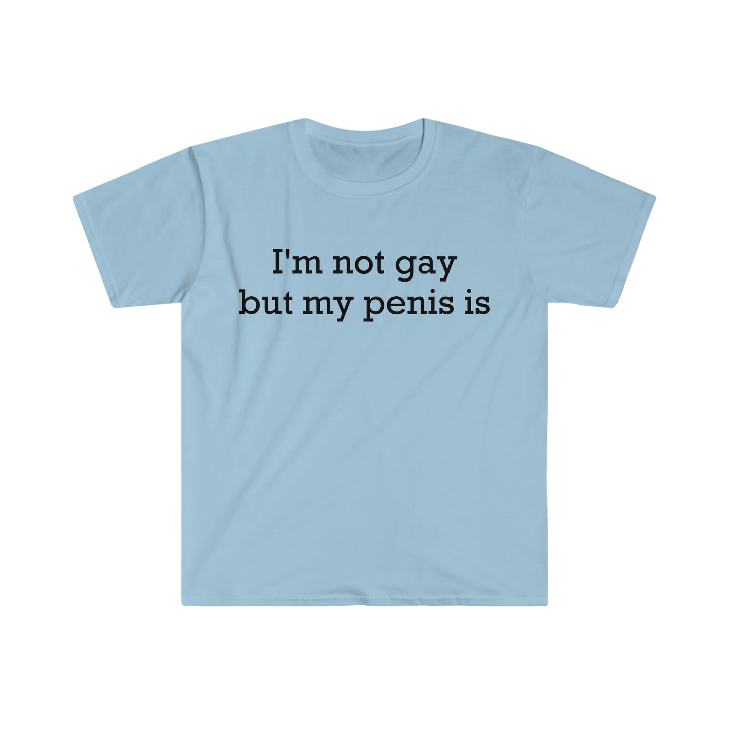 I'm not gay but my penis is Funny Meme T Shirt