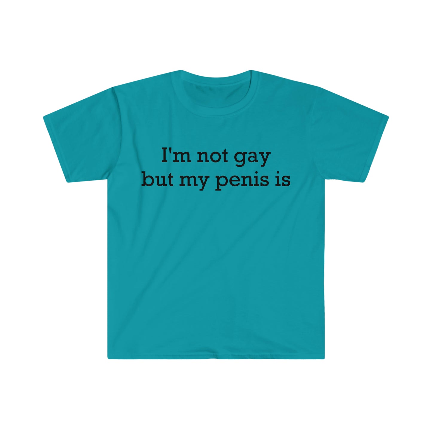 I'm not gay but my penis is Funny Meme T Shirt