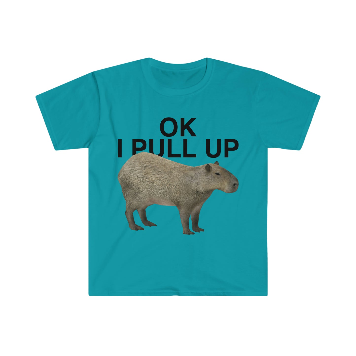 OK I Pull Up Capybara Funny Meme T Shirt