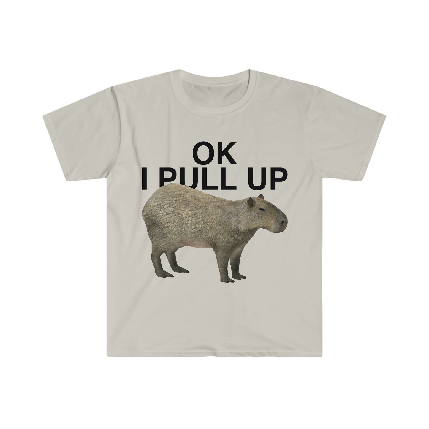 OK I Pull Up Capybara Funny Meme T Shirt