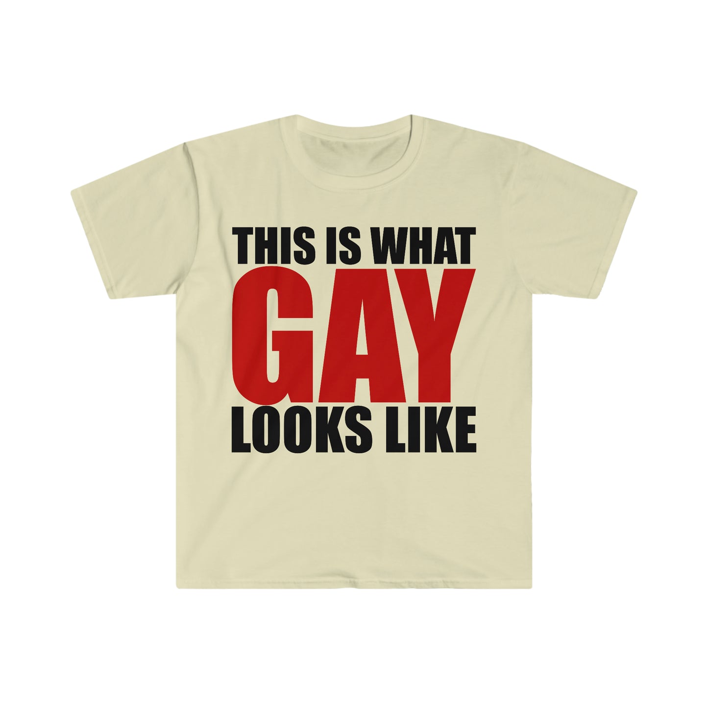 This is What GAY Looks Like Funny Meme T Shirt