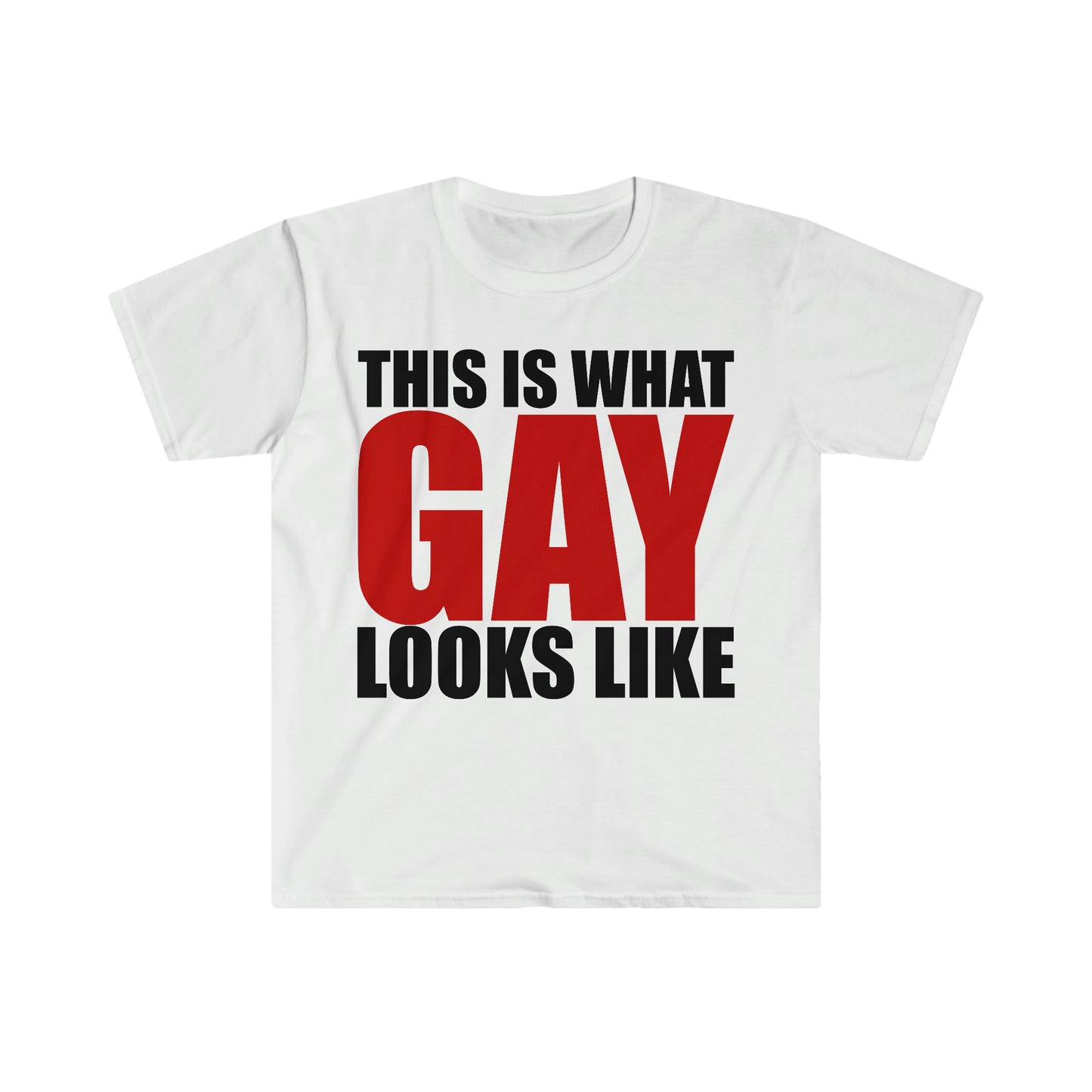 This is What GAY Looks Like Funny Meme T Shirt
