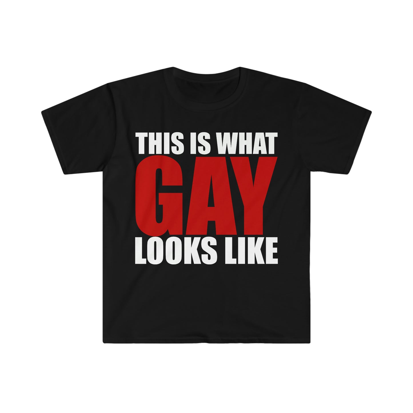 This is What GAY Looks Like Funny Meme T Shirt