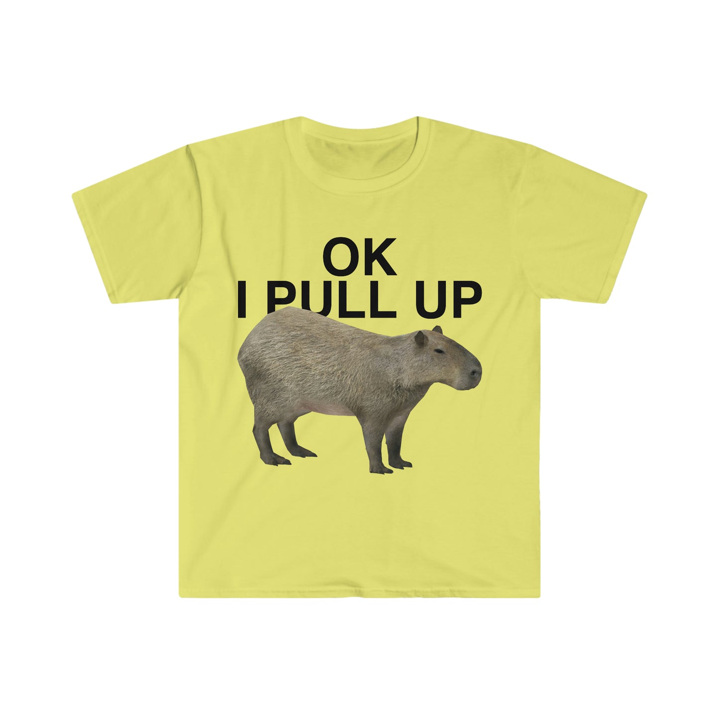 OK I Pull Up Capybara Funny Meme T Shirt