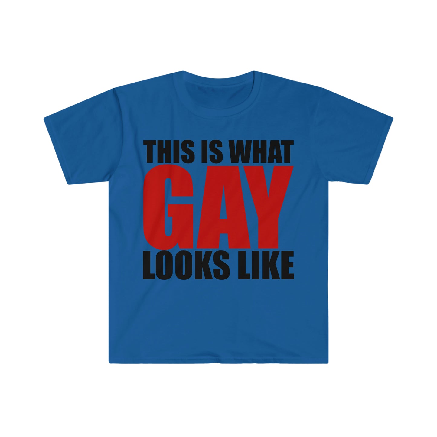 This is What GAY Looks Like Funny Meme T Shirt