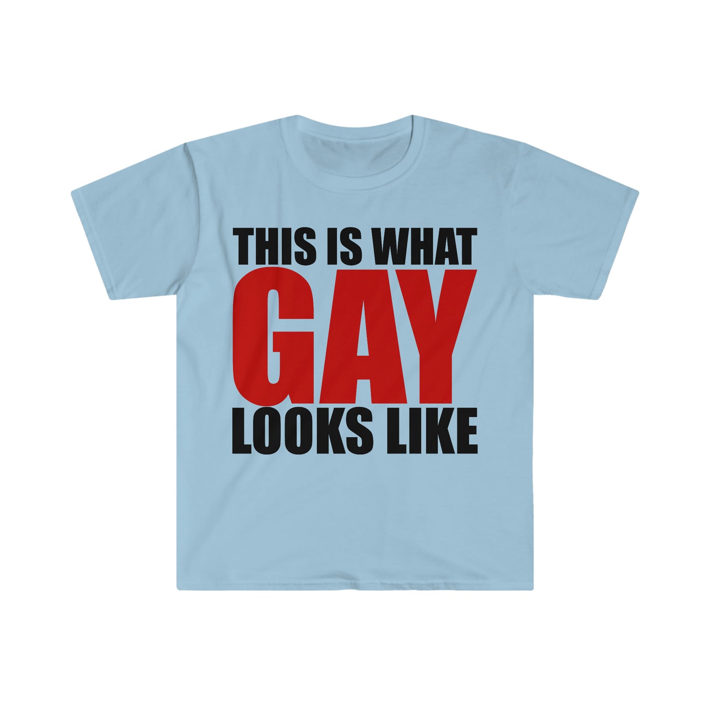 This is What GAY Looks Like Funny Meme T Shirt