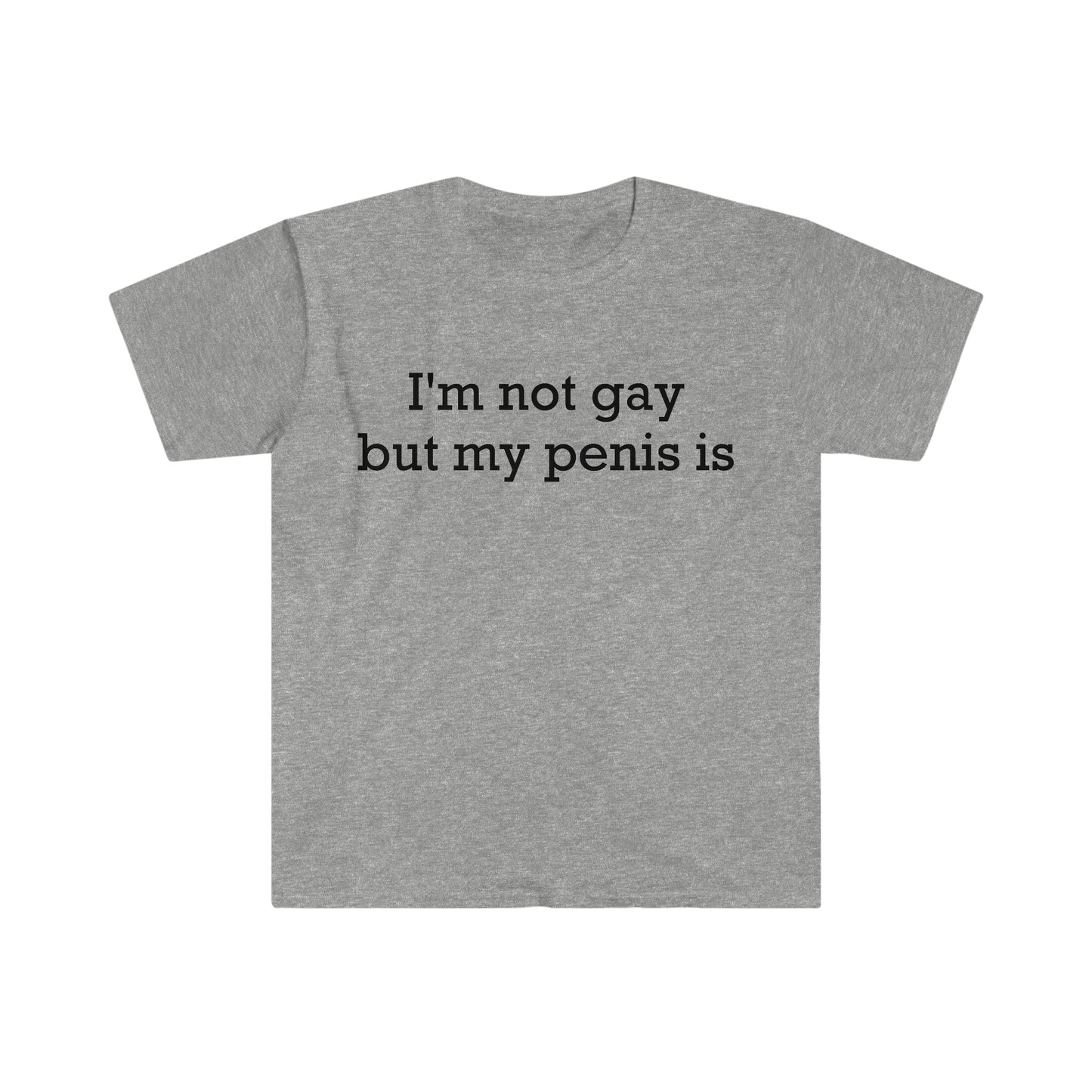I'm not gay but my penis is Funny Meme T Shirt