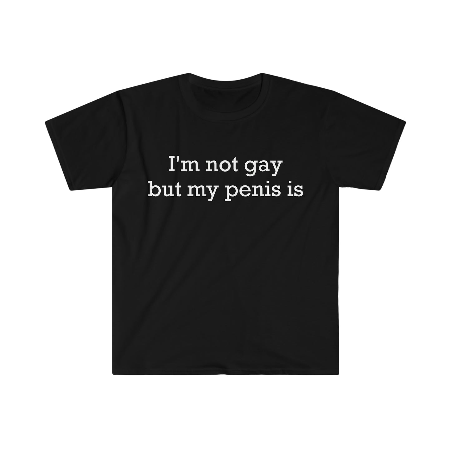 I'm not gay but my penis is Funny Meme T Shirt