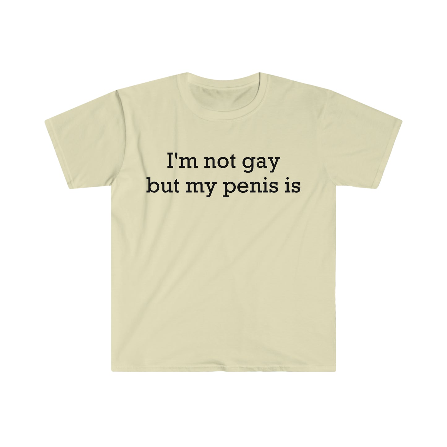 I'm not gay but my penis is Funny Meme T Shirt