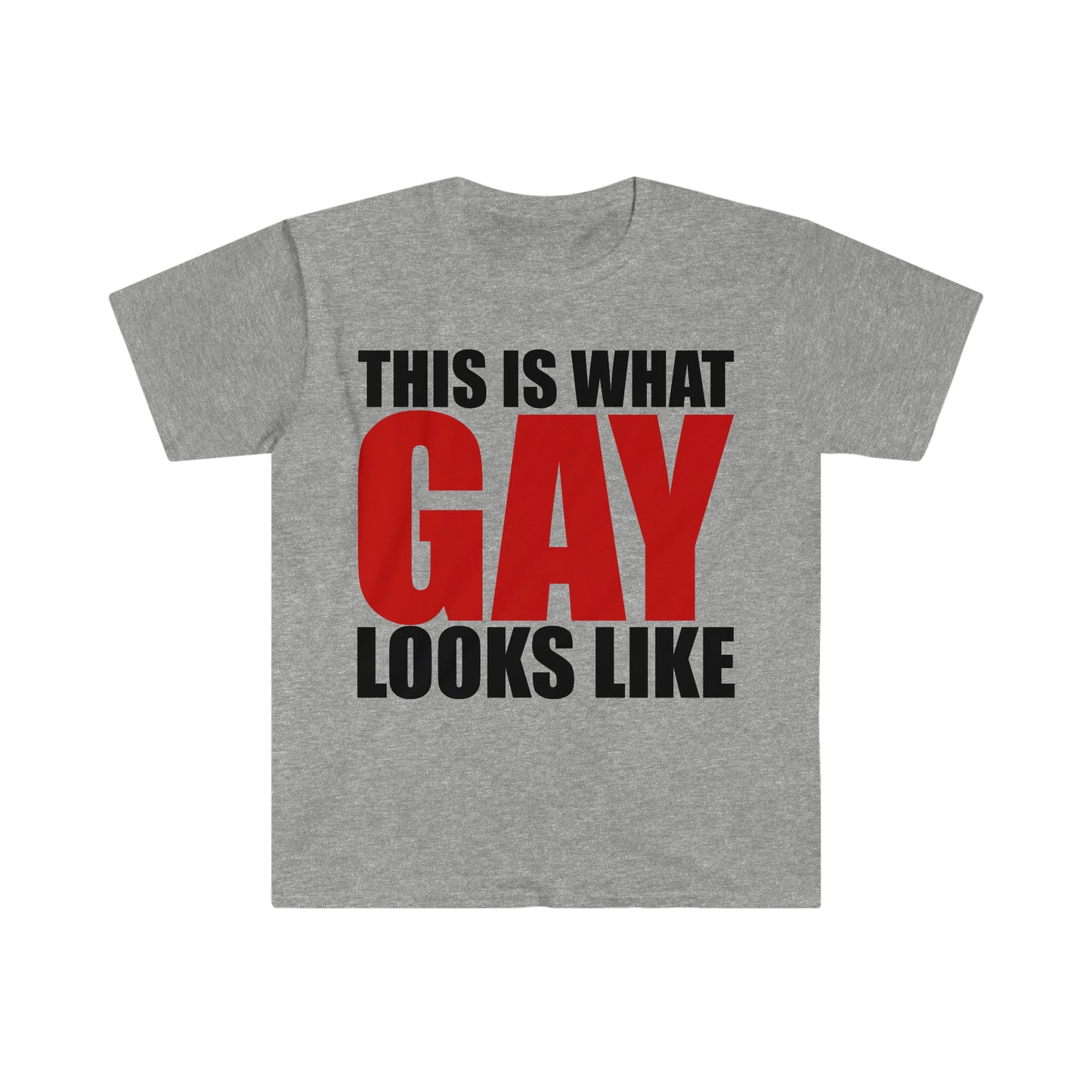 This is What GAY Looks Like Funny Meme T Shirt