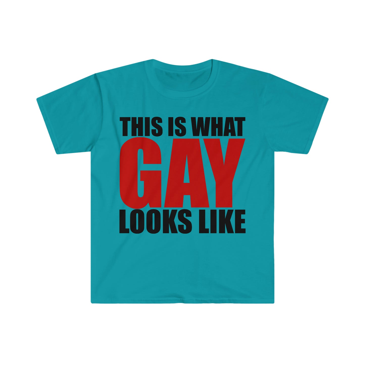 This is What GAY Looks Like Funny Meme T Shirt
