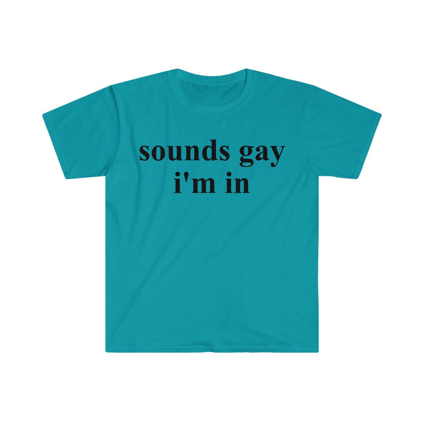 sounds gay i'm in Funny Meme T Shirt