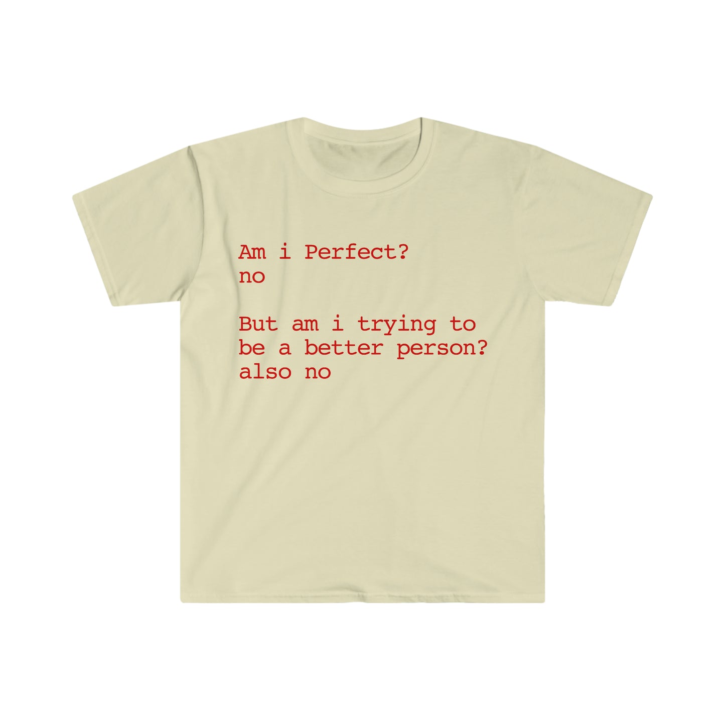 Am i Perfect? no But am i trying to be a better person? also no Funny Meme T Shirt