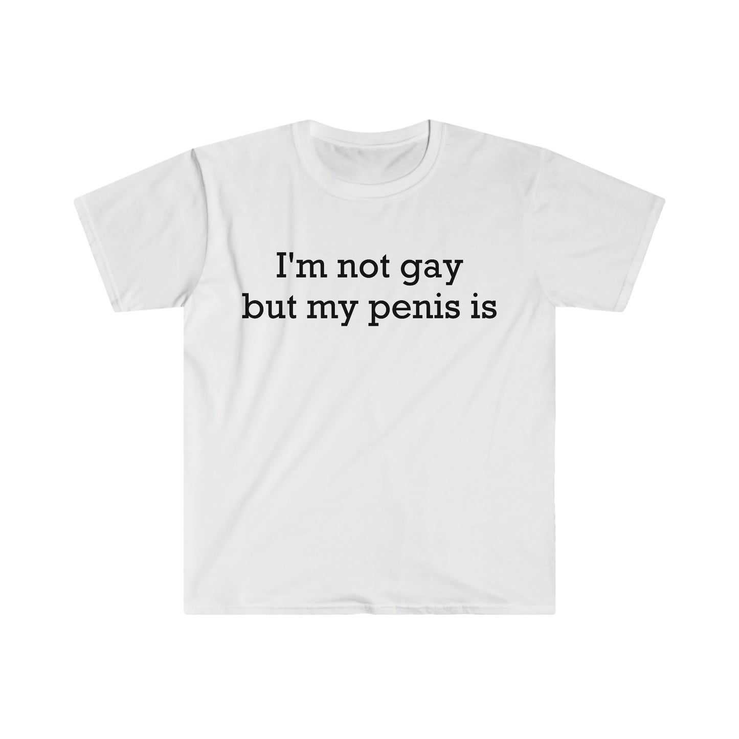 I'm not gay but my penis is Funny Meme T Shirt