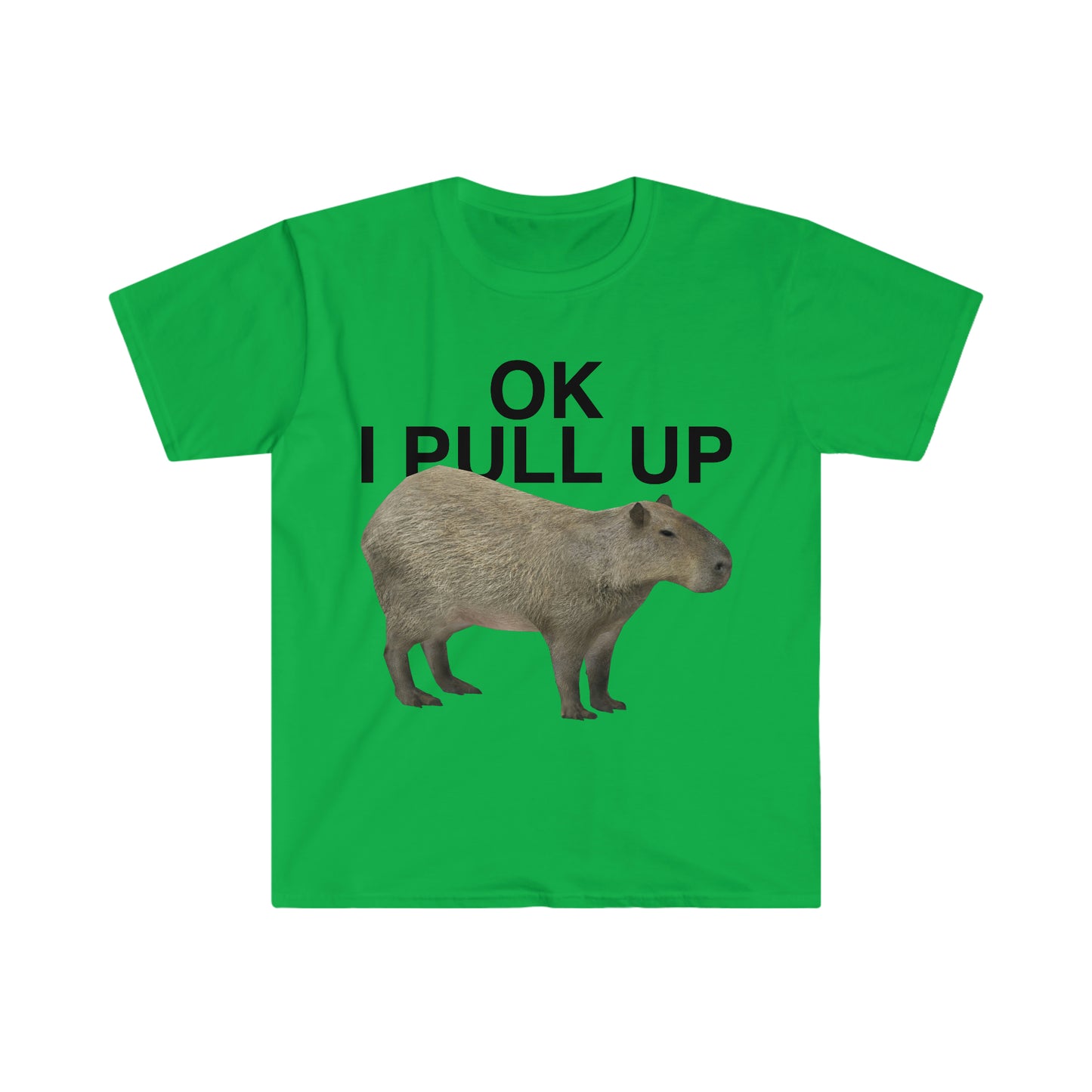 OK I Pull Up Capybara Funny Meme T Shirt