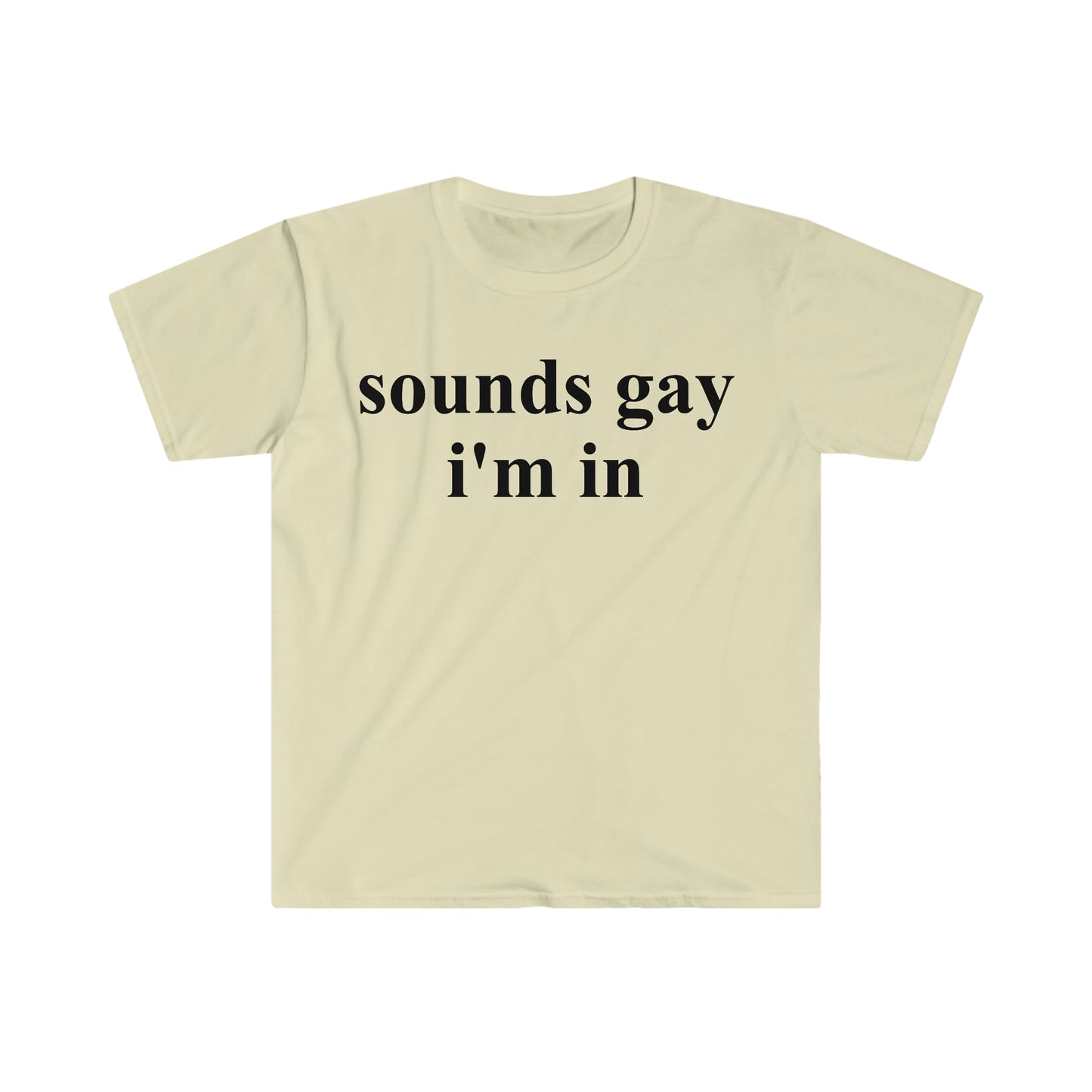 sounds gay i'm in Funny Meme T Shirt